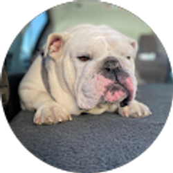 Profile photo of Brandy Adams