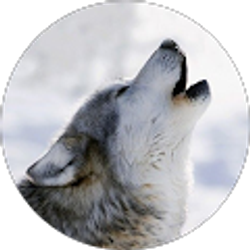 Profile photo of Gamer master 2.0 Games for life