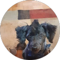 Profile photo of dean