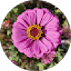Profile photo of Liliana Galvan