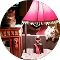 Profile photo of Bill Hann