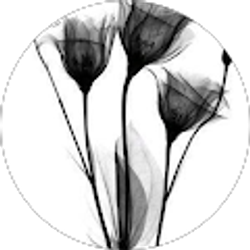 Profile photo of Taylor Patterson