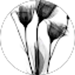 Profile photo of Taylor Patterson