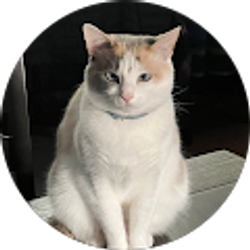 Profile photo of Rachele Roberds