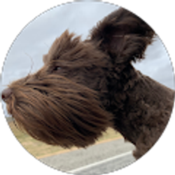 Profile photo of Brett Agenbroad