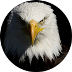 Profile photo of Austin Frederick