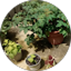 Profile photo of Martha Eales