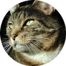 Profile photo of Elinor Eden