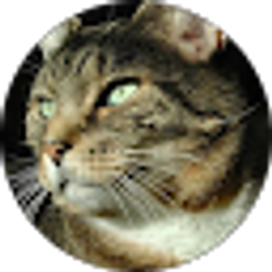 Profile photo of Elinor Eden