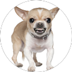 Profile photo of Vicki Parker