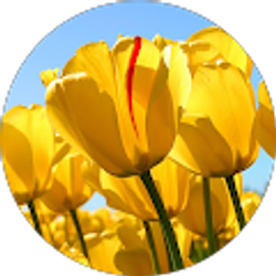 Profile photo of 백정임