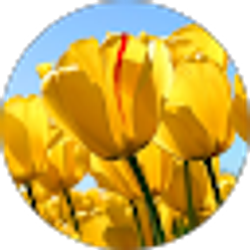 Profile photo of 백정임