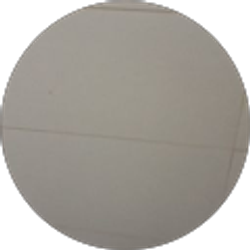 Profile photo of Cristina Lester