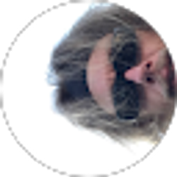 Profile photo of Gary Disc Golf