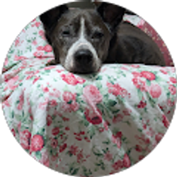 Profile photo of Justin Nasta