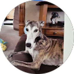 Profile photo of Holly White