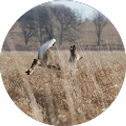 Profile photo of Katy L