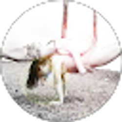 Profile photo of Kimberly Davitt