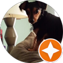 Profile photo of Steve P