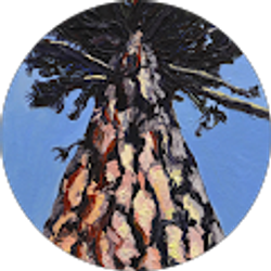 Profile photo of Susan Weaver (Sue Baily Weaver)