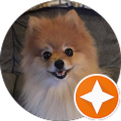 Profile photo of Lisa McGuire