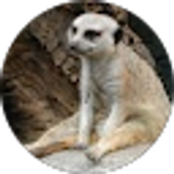 Profile photo of Noel Wiebracht