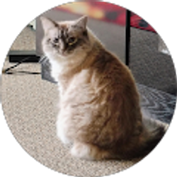 Profile photo of C Clark