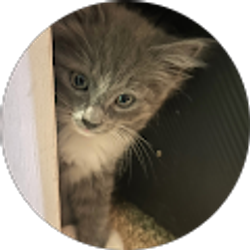 Profile photo of Elizabeth Ponce