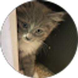 Profile photo of Elizabeth Ponce