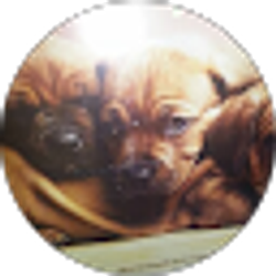Profile photo of Wendy Holland