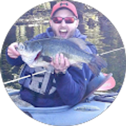 Profile photo of Aaron Wilson