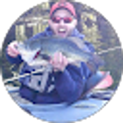 Profile photo of Aaron Wilson