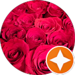 Profile photo of Nirmaris M