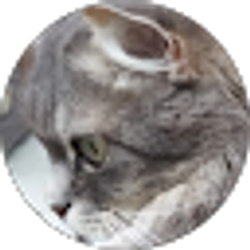 Profile photo of Lucy Glynn