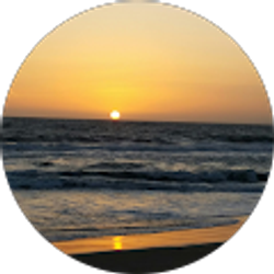 Profile photo of Paula