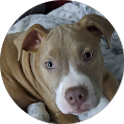 Profile photo of Esther Davila