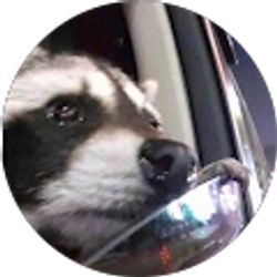 Profile photo of Logan Haag