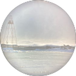 Profile photo of Jason Larner