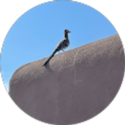 Profile photo of Cindy Chapman