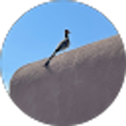 Profile photo of Cindy Chapman