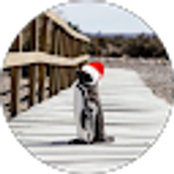 Profile photo of Natasha Traknyak