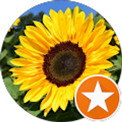 Profile photo of Dottie Rogers