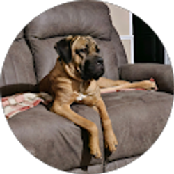 Profile photo of Jamie Carruthers Bawel