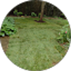 Profile photo of Alfonso Sorto