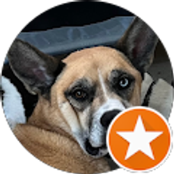 Profile photo of Will Brennan