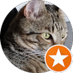 Profile photo of Windom Rettes