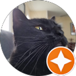 Profile photo of HM