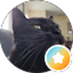 Profile photo of HM