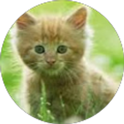 Profile photo of Latoya Witherspoon