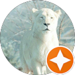 Profile photo of Cheryl Bean